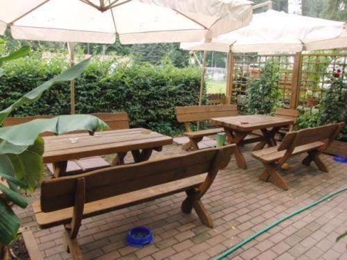 Pension Strohbach Sebnitz Exterior photo